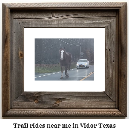 trail rides near me in Vidor, Texas